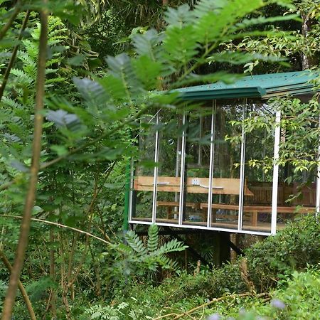 Sinharaja Kurulu Ella Eco Resort Deniyaya Eksteriør billede