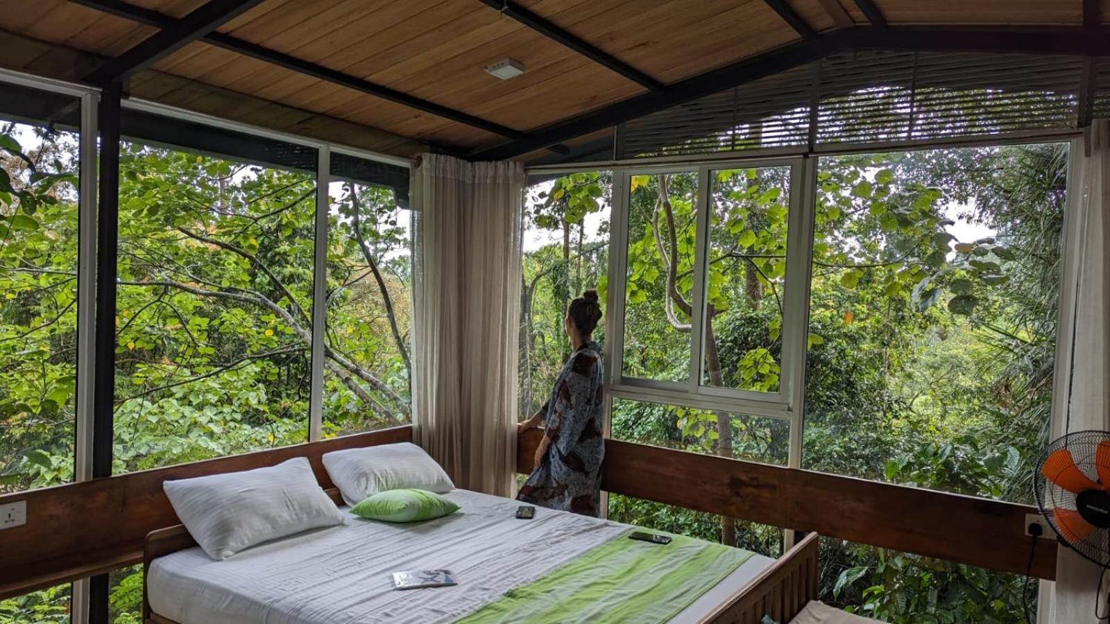 Sinharaja Kurulu Ella Eco Resort Deniyaya Eksteriør billede